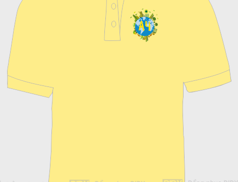 Áo lớp 12a4, áo lớp cổ bẻ