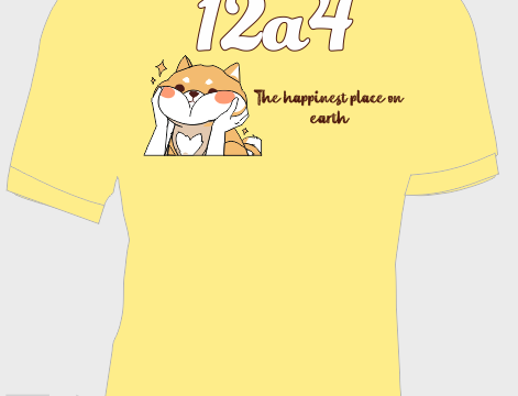 Áo lớp 12a4, áo lớp cổ bẻ