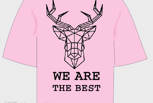 Áo lớp team a3 - We are the best